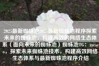2025最新蜘蛛池2025最新蜘蛛池程序探索未来的蜘蛛池，构建高效的网络生态体系（面向未来的蜘蛛池）蜘蛛池TG：zzcseo，探索未来蜘蛛池技术，构建高效网络生态体系与最新蜘蛛池程序介绍
