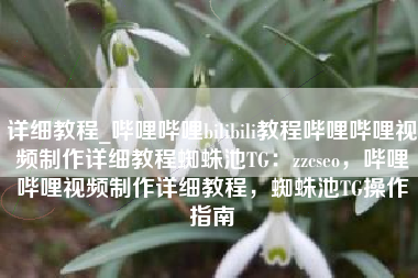 详细教程_哔哩哔哩bilibili教程哔哩哔哩视频制作详细教程蜘蛛池TG：zzcseo，哔哩哔哩视频制作详细教程，蜘蛛池TG操作指南