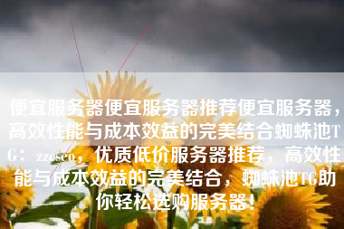 便宜服务器便宜服务器推荐便宜服务器，高效性能与成本效益的完美结合蜘蛛池TG：zzcseo，优质低价服务器推荐，高效性能与成本效益的完美结合，蜘蛛池TG助你轻松选购服务器！