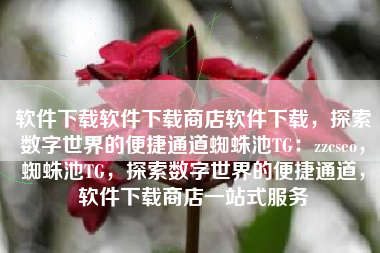 软件下载软件下载商店软件下载，探索数字世界的便捷通道蜘蛛池TG：zzcseo，蜘蛛池TG，探索数字世界的便捷通道，软件下载商店一站式服务