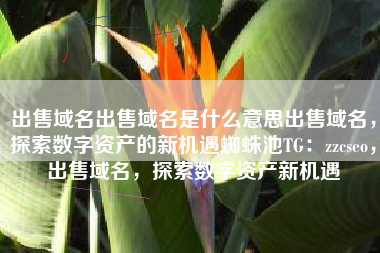 出售域名出售域名是什么意思出售域名，探索数字资产的新机遇蜘蛛池TG：zzcseo，出售域名，探索数字资产新机遇