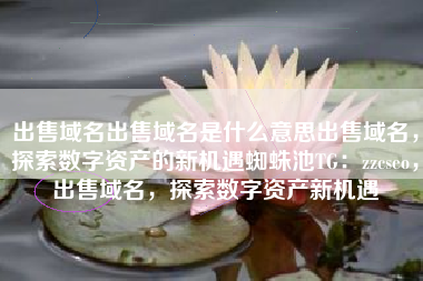 出售域名出售域名是什么意思出售域名，探索数字资产的新机遇蜘蛛池TG：zzcseo，出售域名，探索数字资产新机遇