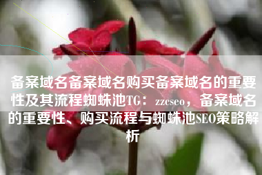备案域名备案域名购买备案域名的重要性及其流程蜘蛛池TG：zzcseo，备案域名的重要性、购买流程与蜘蛛池SEO策略解析