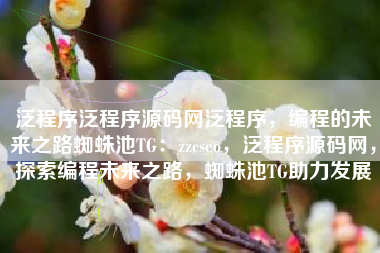 泛程序泛程序源码网泛程序，编程的未来之路蜘蛛池TG：zzcseo，泛程序源码网，探索编程未来之路，蜘蛛池TG助力发展