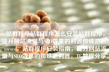 站群程序站群程序怎么安装站群程序，提升网站流量与SEO效果的利器蜘蛛池TG：zzcseo，站群程序安装指南，提升网站流量与SEO效果的蜘蛛池利器，TG教程分享。