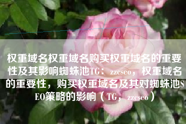 权重域名权重域名购买权重域名的重要性及其影响蜘蛛池TG：zzcseo，权重域名的重要性，购买权重域名及其对蜘蛛池SEO策略的影响（TG，zzcseo）