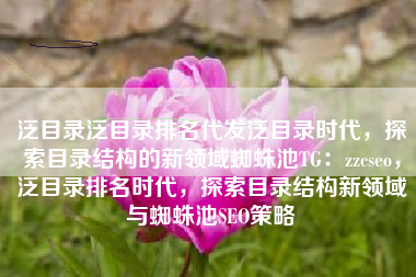泛目录泛目录排名代发泛目录时代，探索目录结构的新领域蜘蛛池TG：zzcseo，泛目录排名时代，探索目录结构新领域与蜘蛛池SEO策略