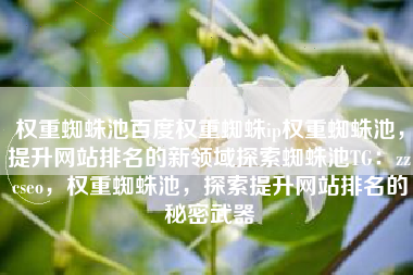 权重蜘蛛池百度权重蜘蛛ip权重蜘蛛池，提升网站排名的新领域探索蜘蛛池TG：zzcseo，权重蜘蛛池，探索提升网站排名的秘密武器