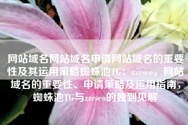 网站域名网站域名申请网站域名的重要性及其运用策略蜘蛛池TG：zzcseo，网站域名的重要性、申请策略及运用指南，蜘蛛池TG与zzcseo的独到见解