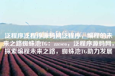 泛程序泛程序源码网泛程序，编程的未来之路蜘蛛池TG：zzcseo，泛程序源码网，探索编程未来之路，蜘蛛池TG助力发展