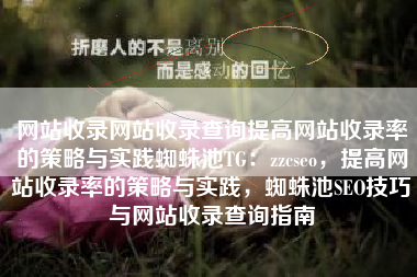 网站收录网站收录查询提高网站收录率的策略与实践蜘蛛池TG：zzcseo，提高网站收录率的策略与实践，蜘蛛池SEO技巧与网站收录查询指南