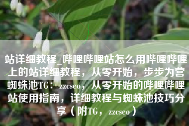 站详细教程_哔哩哔哩站怎么用哔哩哔哩上的站详细教程，从零开始，步步为营蜘蛛池TG：zzcseo，从零开始的哔哩哔哩站使用指南，详细教程与蜘蛛池技巧分享（附TG，zzcseo）