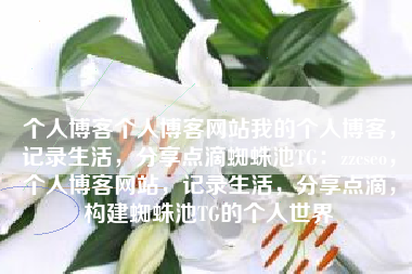 个人博客个人博客网站我的个人博客，记录生活，分享点滴蜘蛛池TG：zzcseo，个人博客网站，记录生活，分享点滴，构建蜘蛛池TG的个人世界