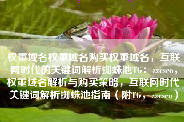 权重域名权重域名购买权重域名，互联网时代的关键词解析蜘蛛池TG：zzcseo，权重域名解析与购买策略，互联网时代关键词解析蜘蛛池指南（附TG，zzcseo）
