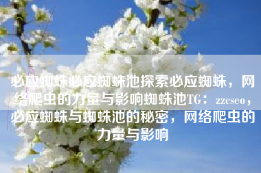 必应蜘蛛必应蜘蛛池探索必应蜘蛛，网络爬虫的力量与影响蜘蛛池TG：zzcseo，必应蜘蛛与蜘蛛池的秘密，网络爬虫的力量与影响