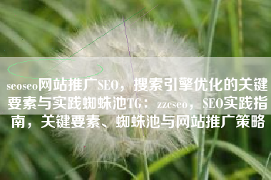 seoseo网站推广SEO，搜索引擎优化的关键要素与实践蜘蛛池TG：zzcseo，SEO实践指南，关键要素、蜘蛛池与网站推广策略