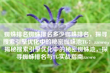 蜘蛛排名蜘蛛排名多少蜘蛛排名，探寻搜索引擎优化中的秘密蜘蛛池TG：zzcseo，揭秘搜索引擎优化中的秘密蜘蛛池，探寻蜘蛛排名与TG实战指南zzcseo