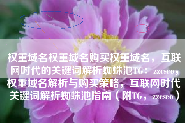 权重域名权重域名购买权重域名，互联网时代的关键词解析蜘蛛池TG：zzcseo，权重域名解析与购买策略，互联网时代关键词解析蜘蛛池指南（附TG，zzcseo）