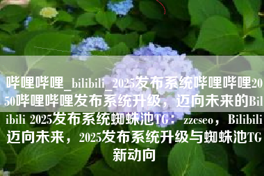 哔哩哔哩_bilibili_2025发布系统哔哩哔哩2050哔哩哔哩发布系统升级，迈向未来的Bilibili 2025发布系统蜘蛛池TG：zzcseo，Bilibili迈向未来，2025发布系统升级与蜘蛛池TG新动向
