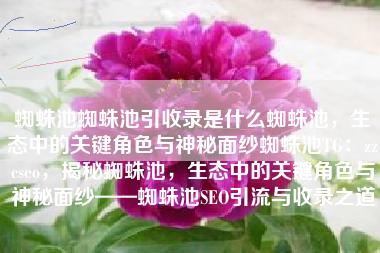 蜘蛛池蜘蛛池引收录是什么蜘蛛池，生态中的关键角色与神秘面纱蜘蛛池TG：zzcseo，揭秘蜘蛛池，生态中的关键角色与神秘面纱——蜘蛛池SEO引流与收录之道
