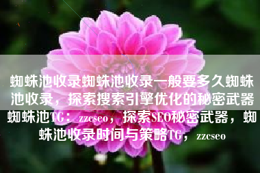 蜘蛛池收录蜘蛛池收录一般要多久蜘蛛池收录，探索搜索引擎优化的秘密武器蜘蛛池TG：zzcseo，探索SEO秘密武器，蜘蛛池收录时间与策略TG，zzcseo