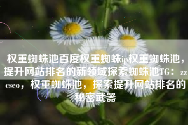权重蜘蛛池百度权重蜘蛛ip权重蜘蛛池，提升网站排名的新领域探索蜘蛛池TG：zzcseo，权重蜘蛛池，探索提升网站排名的秘密武器