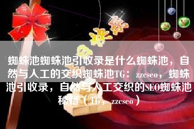 蜘蛛池蜘蛛池引收录是什么蜘蛛池，自然与人工的交织蜘蛛池TG：zzcseo，蜘蛛池引收录，自然与人工交织的SEO蜘蛛池秘籍（TG，zzcseo）