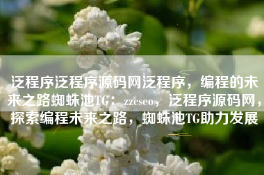 泛程序泛程序源码网泛程序，编程的未来之路蜘蛛池TG：zzcseo，泛程序源码网，探索编程未来之路，蜘蛛池TG助力发展