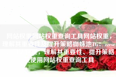 网站权重网站权重查询工具网站权重，理解其重要性及提升策略蜘蛛池TG：zzcseo，网站权重，理解其重要性、提升策略及使用网站权重查询工具