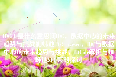 IDCidc是什么意思啊IDC，数据中心的未来趋势与挑战蜘蛛池TG：zzcseo，IDC与数据中心的未来趋势与挑战，IDCidc解析与蜘蛛池SEO策略探讨