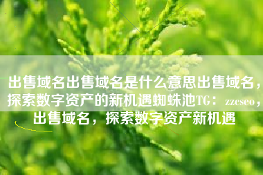 出售域名出售域名是什么意思出售域名，探索数字资产的新机遇蜘蛛池TG：zzcseo，出售域名，探索数字资产新机遇