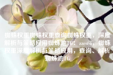 蜘蛛权重蜘蛛权重查询蜘蛛权重，深度解析与策略应用蜘蛛池TG：zzcseo，蜘蛛权重深度解析与策略应用，查询、解析蜘蛛池TG