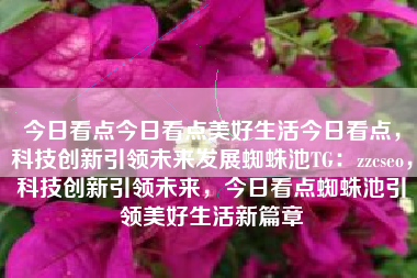 今日看点今日看点美好生活今日看点，科技创新引领未来发展蜘蛛池TG：zzcseo，科技创新引领未来，今日看点蜘蛛池引领美好生活新篇章