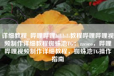 详细教程_哔哩哔哩bilibili教程哔哩哔哩视频制作详细教程蜘蛛池TG：zzcseo，哔哩哔哩视频制作详细教程，蜘蛛池TG操作指南