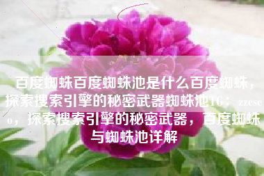 百度蜘蛛百度蜘蛛池是什么百度蜘蛛，探索搜索引擎的秘密武器蜘蛛池TG：zzcseo，探索搜索引擎的秘密武器，百度蜘蛛与蜘蛛池详解