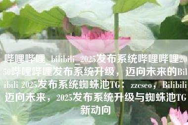 哔哩哔哩_bilibili_2025发布系统哔哩哔哩2050哔哩哔哩发布系统升级，迈向未来的Bilibili 2025发布系统蜘蛛池TG：zzcseo，Bilibili迈向未来，2025发布系统升级与蜘蛛池TG新动向