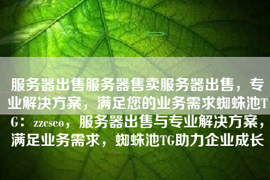 服务器出售服务器售卖服务器出售，专业解决方案，满足您的业务需求蜘蛛池TG：zzcseo，服务器出售与专业解决方案，满足业务需求，蜘蛛池TG助力企业成长