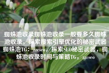 蜘蛛池收录蜘蛛池收录一般要多久蜘蛛池收录，探索搜索引擎优化的秘密武器蜘蛛池TG：zzcseo，探索SEO秘密武器，蜘蛛池收录时间与策略TG，zzcseo