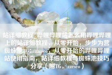 站详细教程_哔哩哔哩站怎么用哔哩哔哩上的站详细教程，从零开始，步步为营蜘蛛池TG：zzcseo，从零开始的哔哩哔哩站使用指南，站详细教程与蜘蛛池技巧分享（附TG，zzcseo）