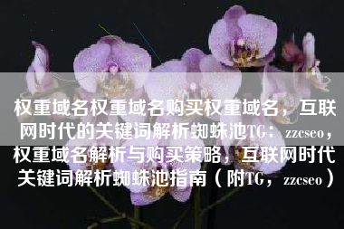 权重域名权重域名购买权重域名，互联网时代的关键词解析蜘蛛池TG：zzcseo，权重域名解析与购买策略，互联网时代关键词解析蜘蛛池指南（附TG，zzcseo）
