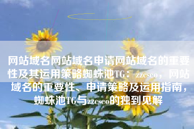 网站域名网站域名申请网站域名的重要性及其运用策略蜘蛛池TG：zzcseo，网站域名的重要性、申请策略及运用指南，蜘蛛池TG与zzcseo的独到见解