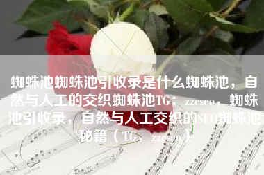 蜘蛛池蜘蛛池引收录是什么蜘蛛池，自然与人工的交织蜘蛛池TG：zzcseo，蜘蛛池引收录，自然与人工交织的SEO蜘蛛池秘籍（TG，zzcseo）