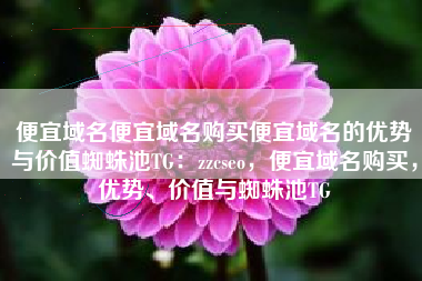 便宜域名便宜域名购买便宜域名的优势与价值蜘蛛池TG：zzcseo，便宜域名购买，优势、价值与蜘蛛池TG