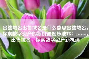 出售域名出售域名是什么意思出售域名，探索数字资产的新机遇蜘蛛池TG：zzcseo，出售域名，探索数字资产新机遇