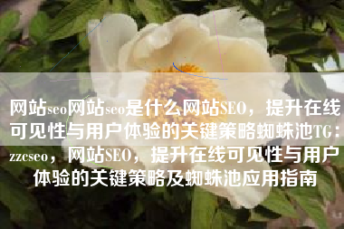 网站seo网站seo是什么网站SEO，提升在线可见性与用户体验的关键策略蜘蛛池TG：zzcseo，网站SEO，提升在线可见性与用户体验的关键策略及蜘蛛池应用指南
