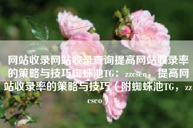 网站收录网站收录查询提高网站收录率的策略与技巧蜘蛛池TG：zzcseo，提高网站收录率的策略与技巧（附蜘蛛池TG，zzcseo）