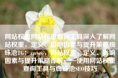 网站权重网站权重查询工具深入了解网站权重，定义、影响因素与提升策略蜘蛛池TG：zzcseo，网站权重，定义、影响因素与提升策略详解——使用网站权重查询工具与蜘蛛池SEO技巧