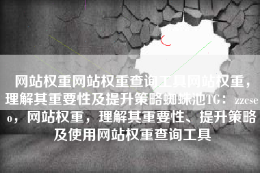 网站权重网站权重查询工具网站权重，理解其重要性及提升策略蜘蛛池TG：zzcseo，网站权重，理解其重要性、提升策略及使用网站权重查询工具
