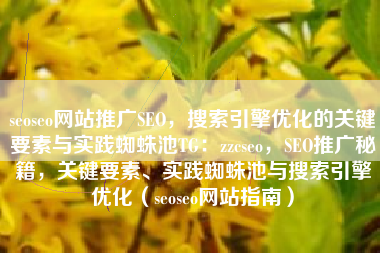 seoseo网站推广SEO，搜索引擎优化的关键要素与实践蜘蛛池TG：zzcseo，SEO推广秘籍，关键要素、实践蜘蛛池与搜索引擎优化（seoseo网站指南）