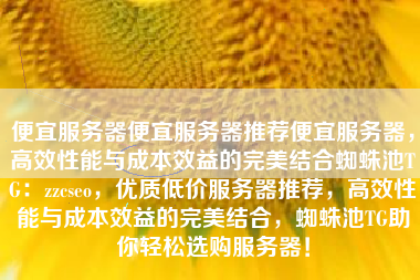 便宜服务器便宜服务器推荐便宜服务器，高效性能与成本效益的完美结合蜘蛛池TG：zzcseo，优质低价服务器推荐，高效性能与成本效益的完美结合，蜘蛛池TG助你轻松选购服务器！